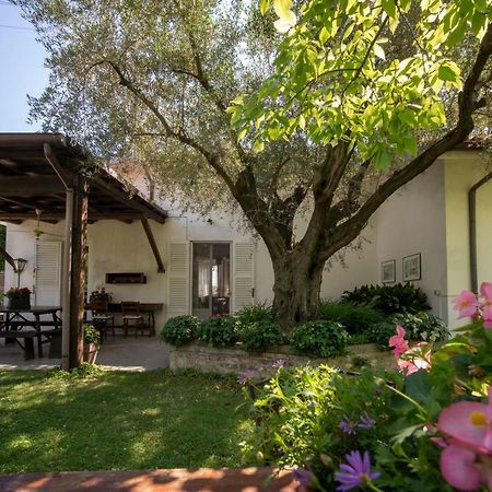 Trecentolivi B&B 몬티냐노 외부 사진