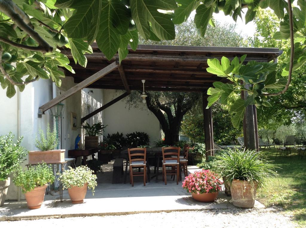 Trecentolivi B&B 몬티냐노 외부 사진