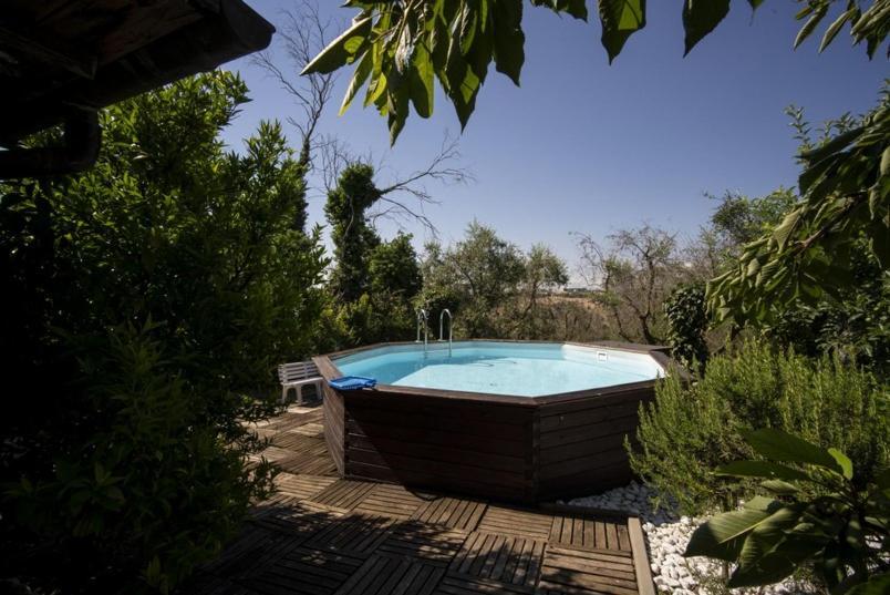 Trecentolivi B&B 몬티냐노 외부 사진