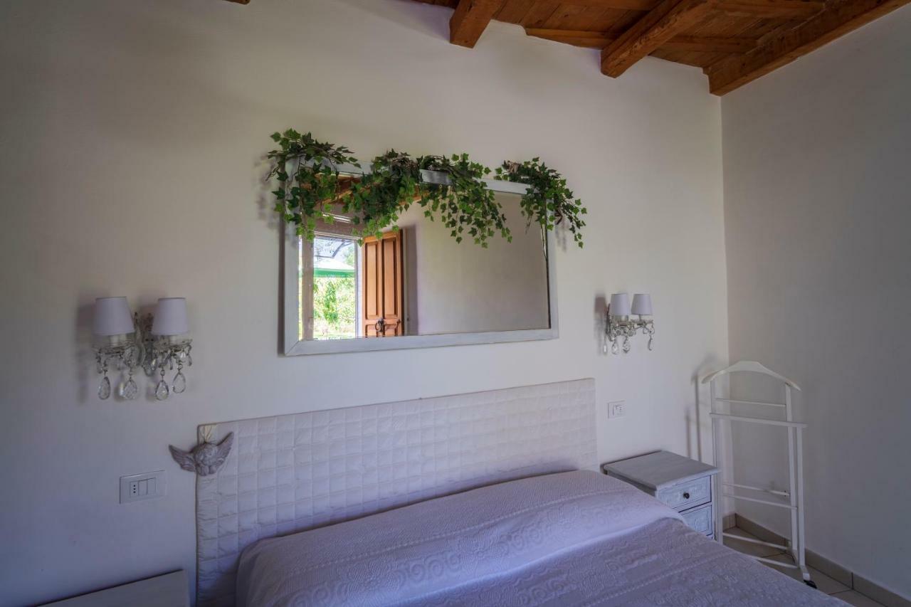 Trecentolivi B&B 몬티냐노 외부 사진