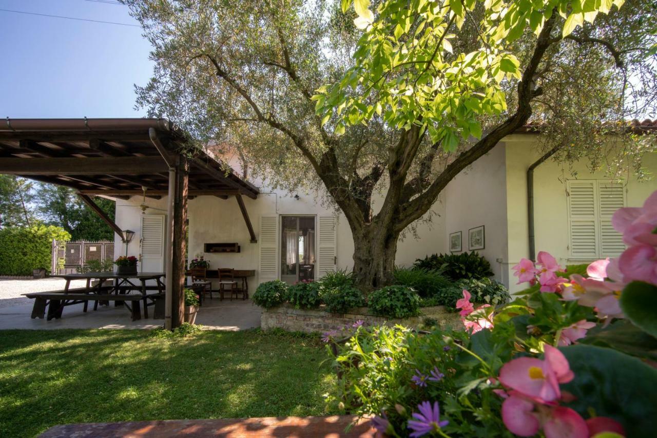 Trecentolivi B&B 몬티냐노 외부 사진