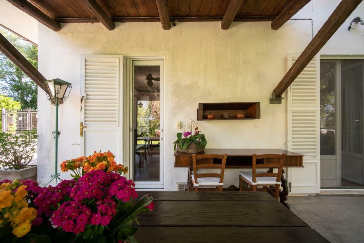 Trecentolivi B&B 몬티냐노 외부 사진